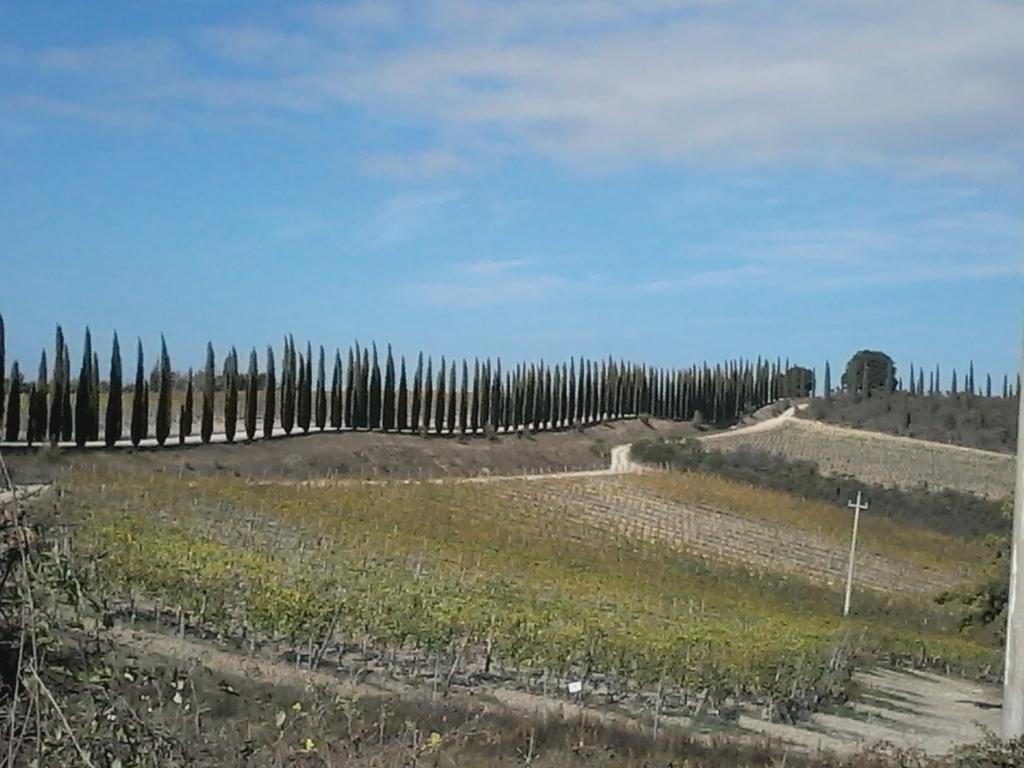 Hotel Cisterna Nel Borgo Castiglione dʼOrcia Zewnętrze zdjęcie
